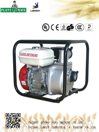 Agricultural/Industrial Water Pump with ISO9001 (WP-30)