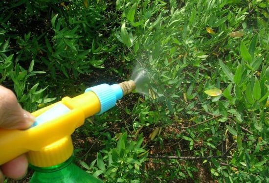 Plant Mate Brand to and Fro Sprayer for Agriculture /Home/Garden (TF-501)